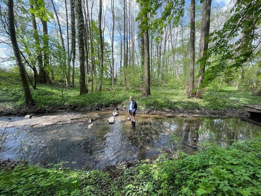 Wassermuehle Triglitz - Alleinlage Fuer Retreats, Workshops, Family & Friends Екстер'єр фото